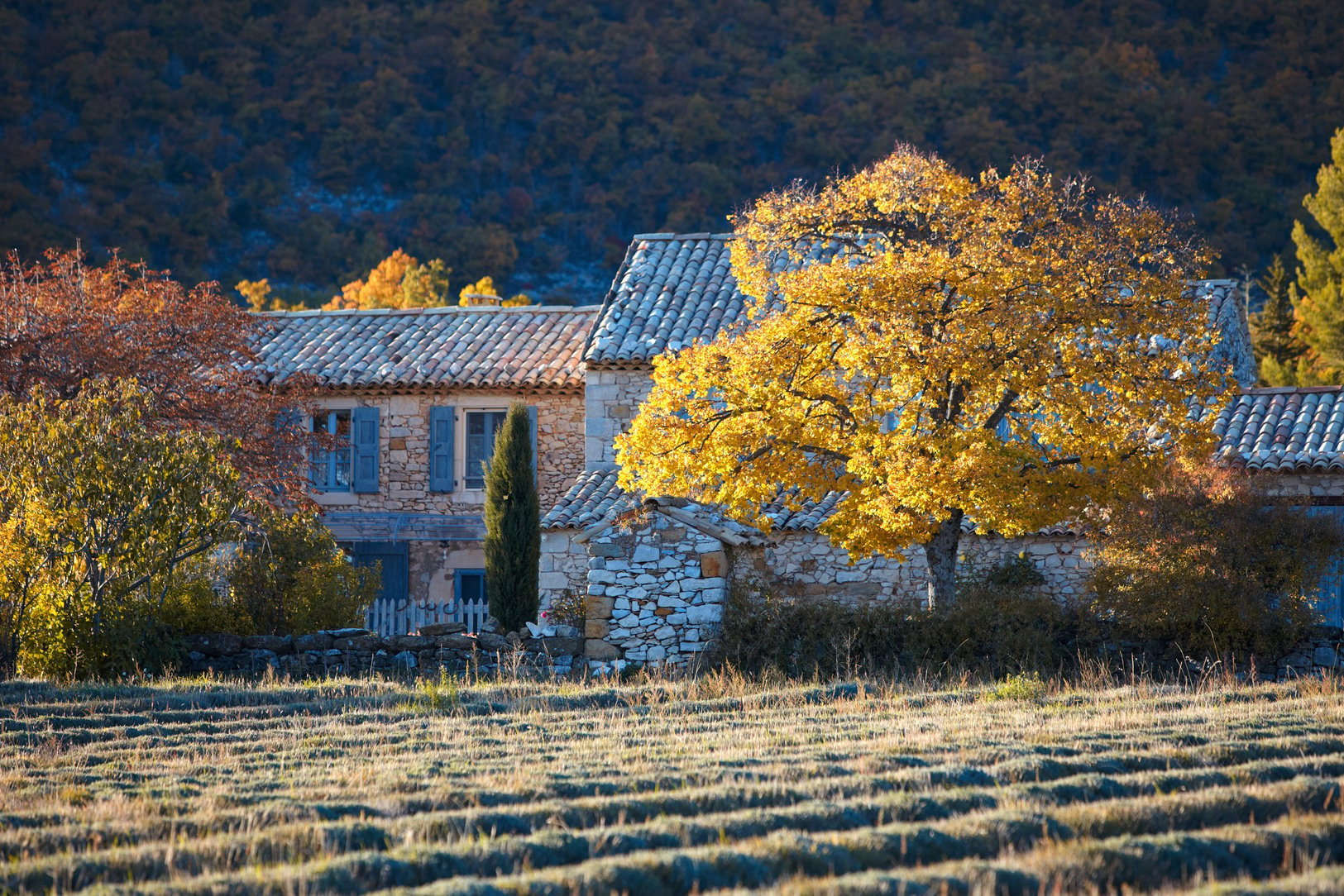 Ancient farmhouse in the Provence, France